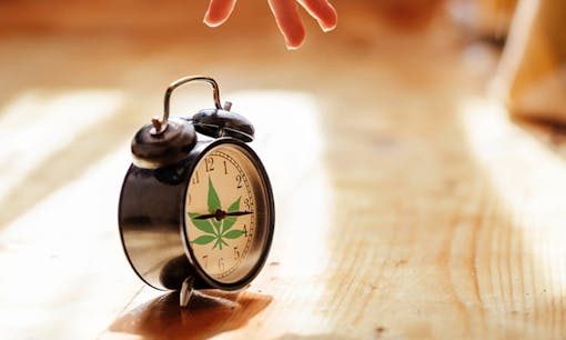 Alarm clock with a cannabis leaf design on it