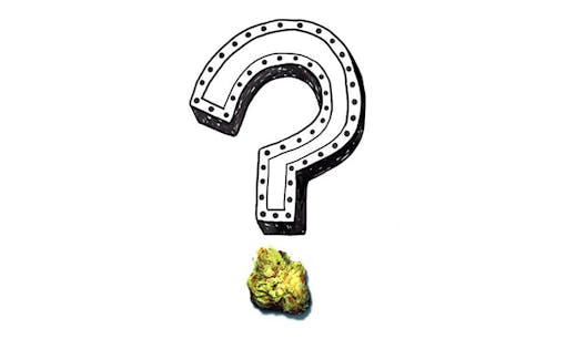 A question mark with a cannabis flower as the dot