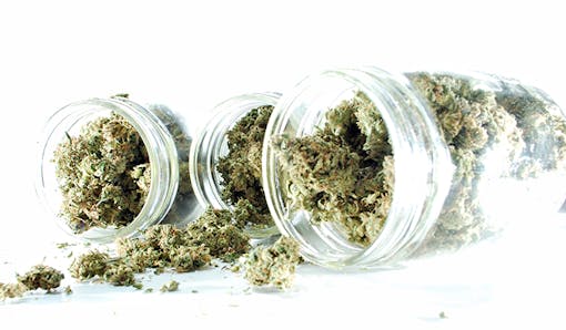 cannabis,marijuana,medical marijuana,leafly,weed,bud