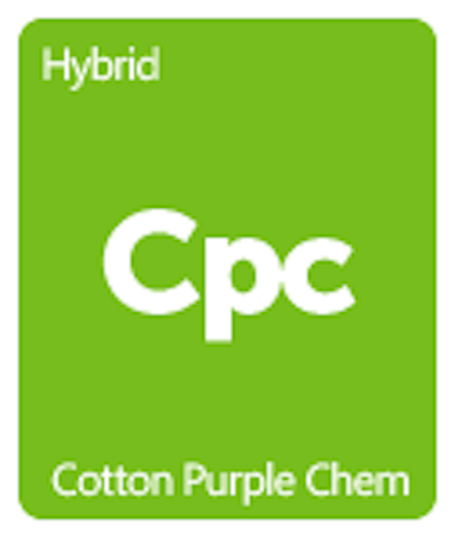Leafly Cotton Purple Chem cannabis strain tile
