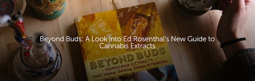 Beyond Buds: A Look into Ed Rosenthal’s New Guide to Cannabis Extracts