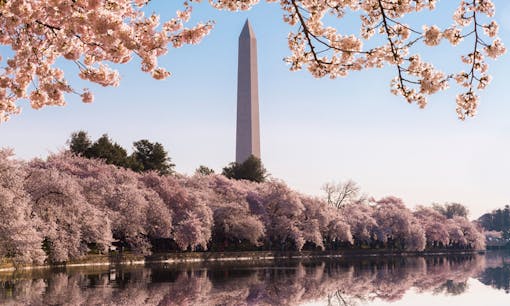 The Washington Monument at Tidal Basin in Washington, D.C.