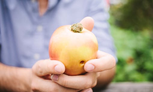 An apple pipe, one of many homemade devices for smoking cannabis