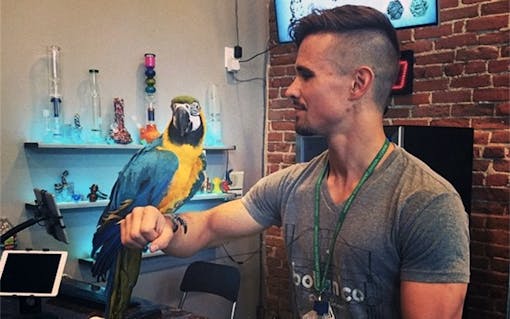 Botanic cannabis dispensary in Denver, Colorado