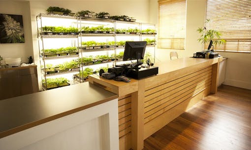 Harborside Health Center medical cannabis dispensary in Oakland, California