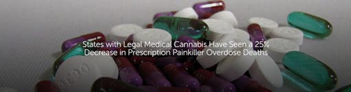 States with Legal Medical Cannabis Have Seen a 25% Decrease in Prescription Painkiller Overdose Deaths