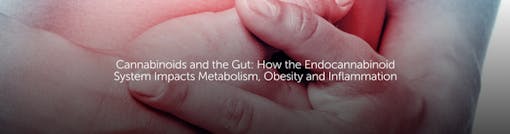Cannabinoids and the Gut: How the Endocannabinoid System Impacts Metabolism, Obesity and Inflammation