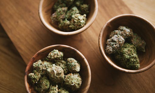 Cannabis flower in wooden bowls