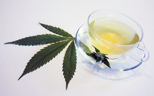 Cannabis leaf with a cup of tea
