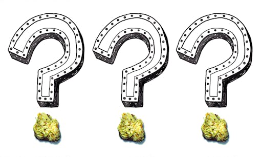 cannabis questions