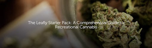 The Leafly Starter Pack: A Comprehensive Guide to Recreational Cannabis