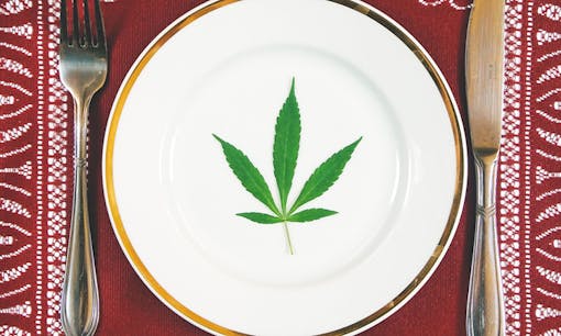 cannabis leaf on a dinner plate