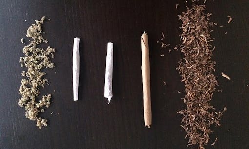 cannabis joints vs. blunts vs. spliffs