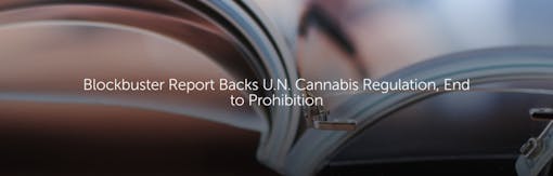 Blockbuster Report Backs U.N. Cannabis Regulation, End to Prohibition