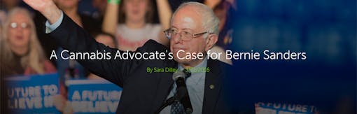 A Cannabis Advocate's Case for Bernie Sanders Leafly article header