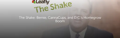 The Shake: Bernie, CannaCups, and D.C.'s Homegrown Boom