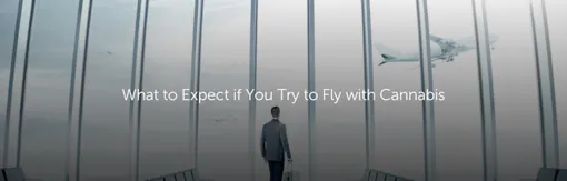 What to Expect if You Try to Fly with Cannabis