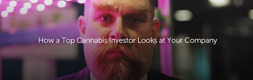 How a Top Cannabis Investor Looks at Your Company