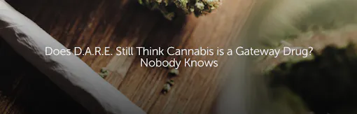 Does DARE Still Think Cannabis is a Gateway Drug? Nobody Knows