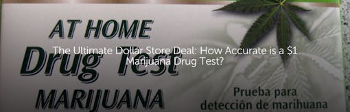 The Ultimate Dollar Store Deal: How Accurate is a $1 Marijuana Drug Test?