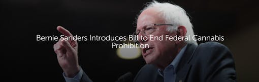 Bernie Sanders Introduces Bill to End Federal Prohibition