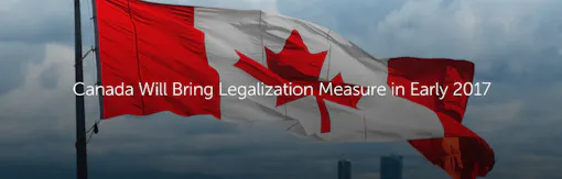 Canada Will Bring Legalization Measure in Early 2017