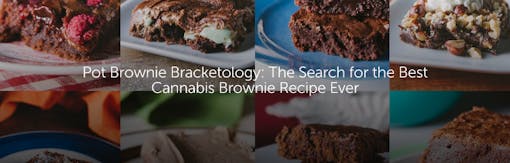 Pot Brownie Bracketology: The Search for the Best Cannabis Brownie Recipe Ever
