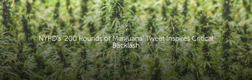 NYPD’s ‘200 Pounds of Marijuana’ Tweet Inspires Critical Backlash