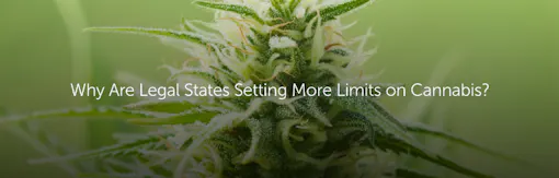 Why Are Legal States Setting More Limits on Cannabis?