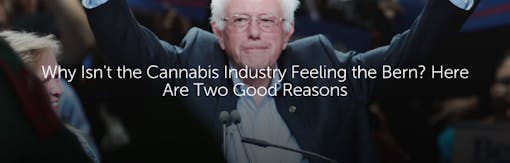 Why Isn't the Cannabis Industry Feeling the Bern? Here Are Two Good Reasons