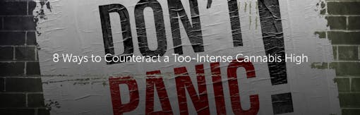 8 Ways to Counteract a Too-Intense Cannabis High