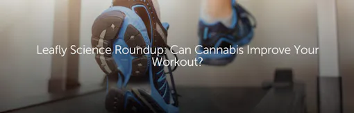 Leafly Science Roundup: Can Cannabis Improve Your Workout?