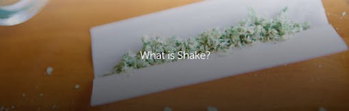 What is Shake?