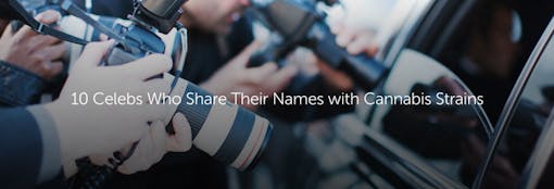 10 Celebs Who Share Their Names with Cannabis Strains