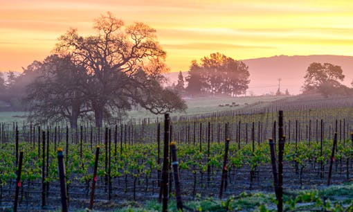 Sonoma at sunset