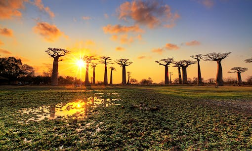 Madagascar at sunset