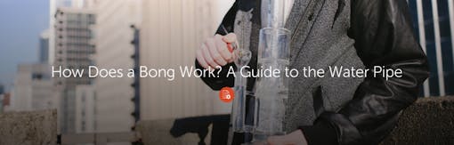 How Does a Bong Work? A Guide to the Water Pipe