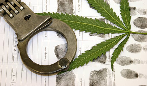 Cannabis and crime