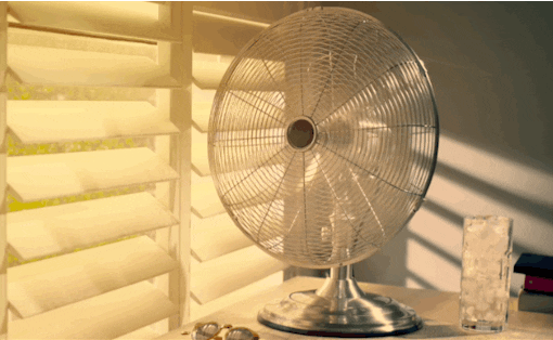 Oscillating Fan For Your Home