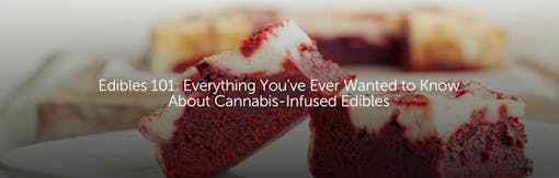 Edibles 101: Everything You've Ever Wanted to Know About Cannabis-Infused Edibles