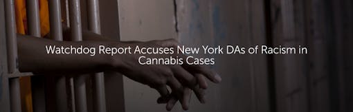 Watchdog Report Accuses New York DAs of Racism in Cannabis Cases