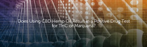 Does Using CBD Hemp Oil Result in a Positive Drug Test for THC or Marijuana?
