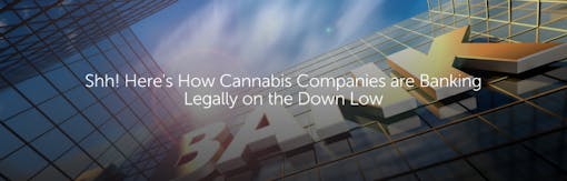 Shh! Here's How Cannabis Companies are Banking Legally on the Down Low