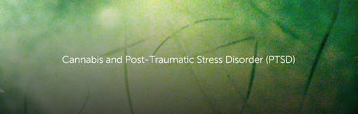 Cannabis and Post-Traumatic Stress Disorder (PTSD)
