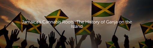 Jamaica's Cannabis Roots: The History of Ganja on the Island