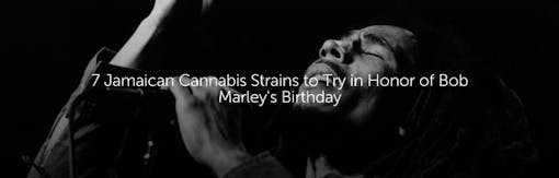 7 Jamaican Cannabis Strains to Try in Honor of Bob Marley's Birthday
