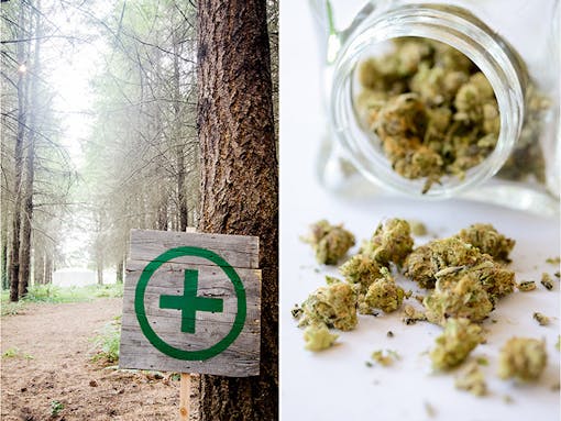 Cannabis bar signage at a wedding next to some of the buds offered