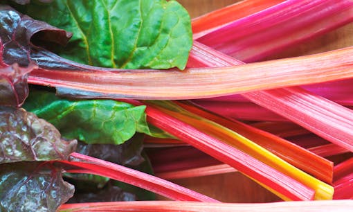 Rainbow chard leaves