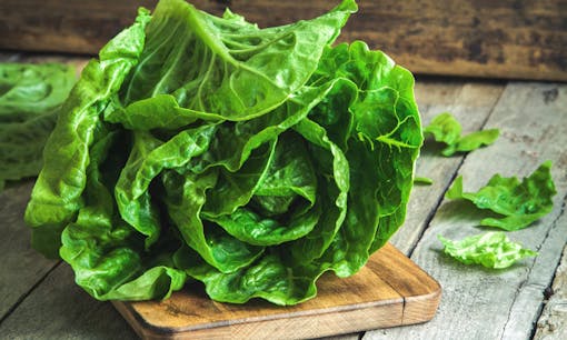 Romain lettuce on a wood cutting board