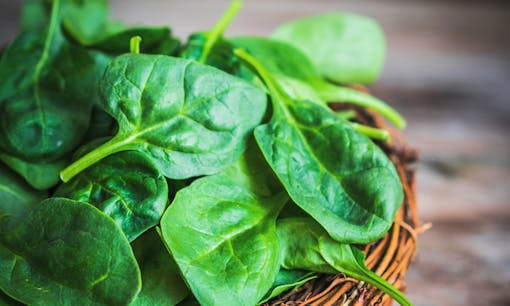 Spinach